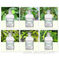 100% pure natural Eucalyptus Leaf extract essential oil